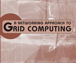 A Networking Approach to Grid Computing